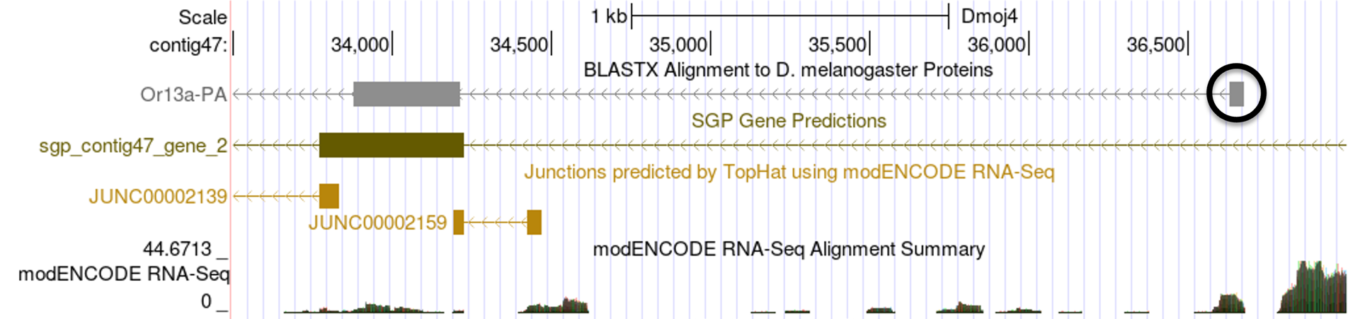 figure11