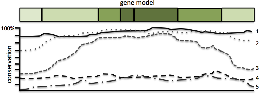 figure9