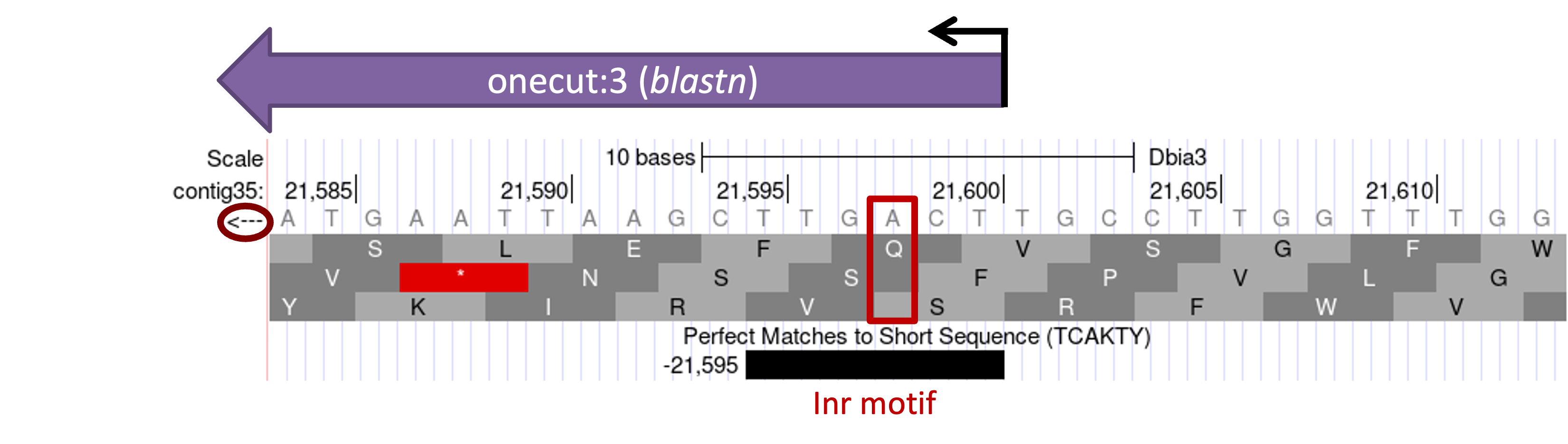 figure17