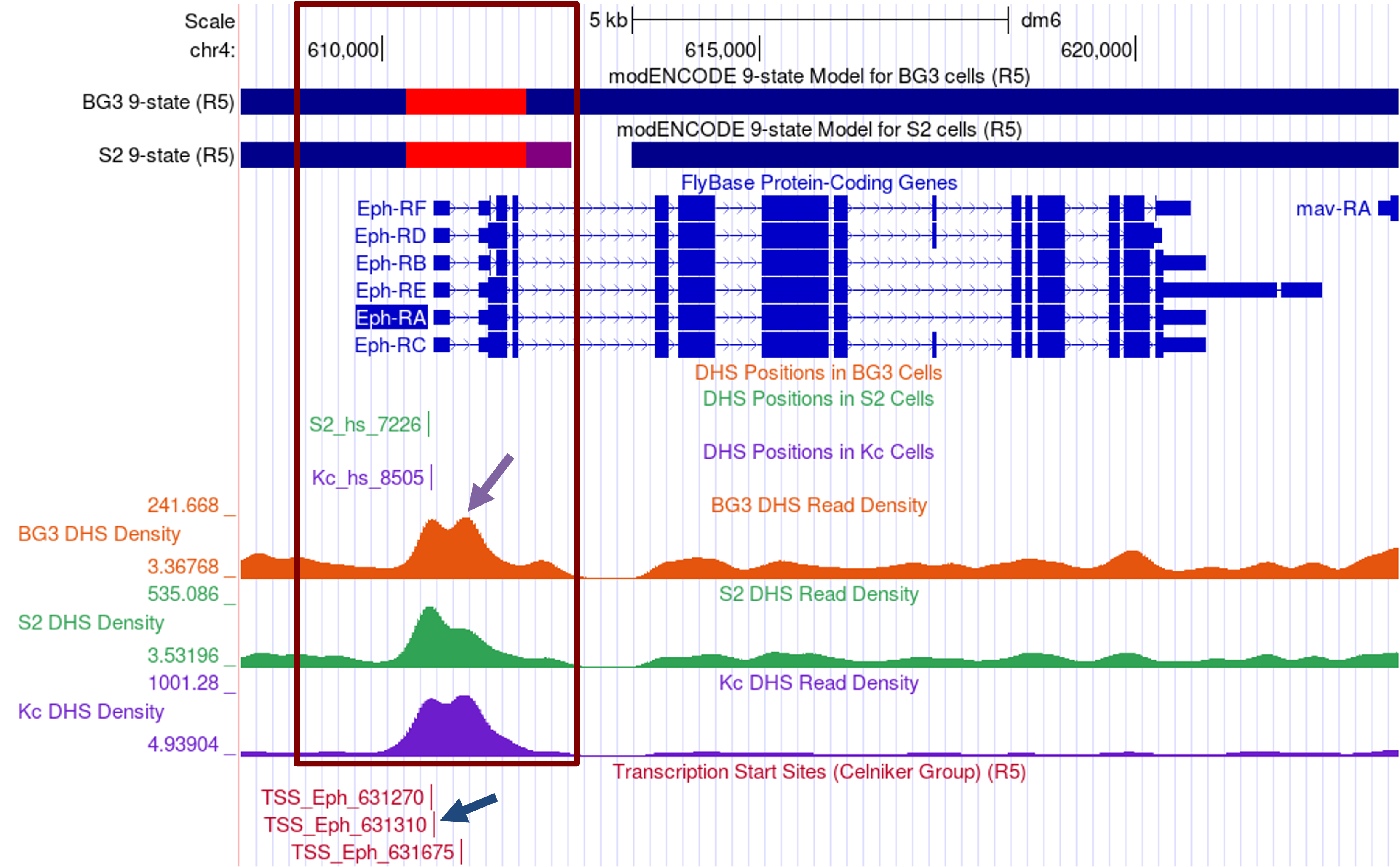 figure19