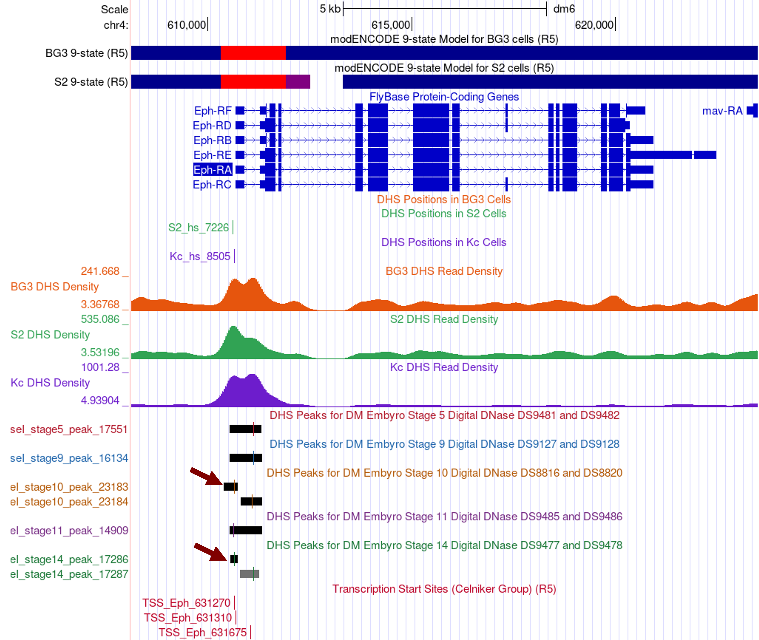 figure20