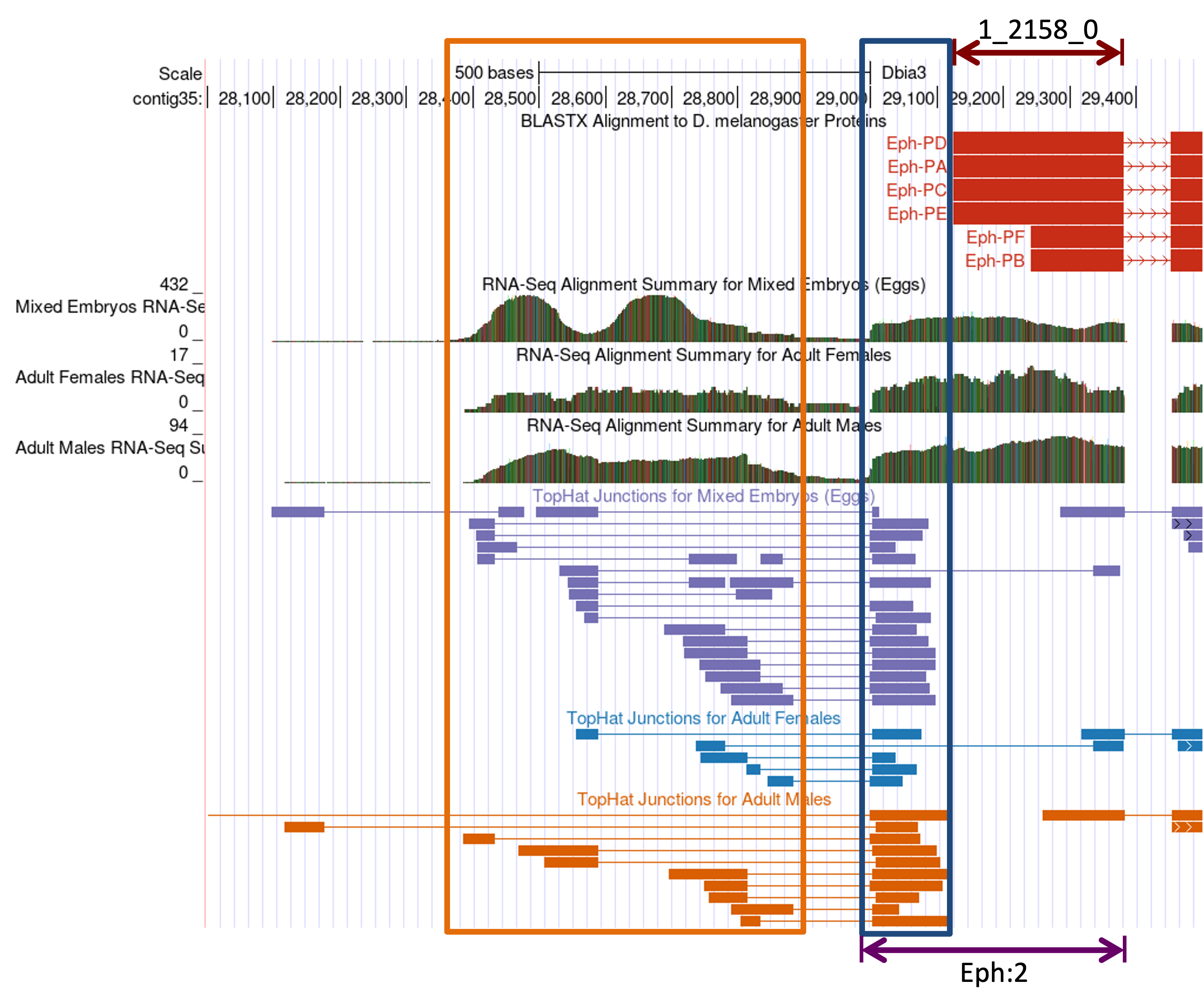 figure24