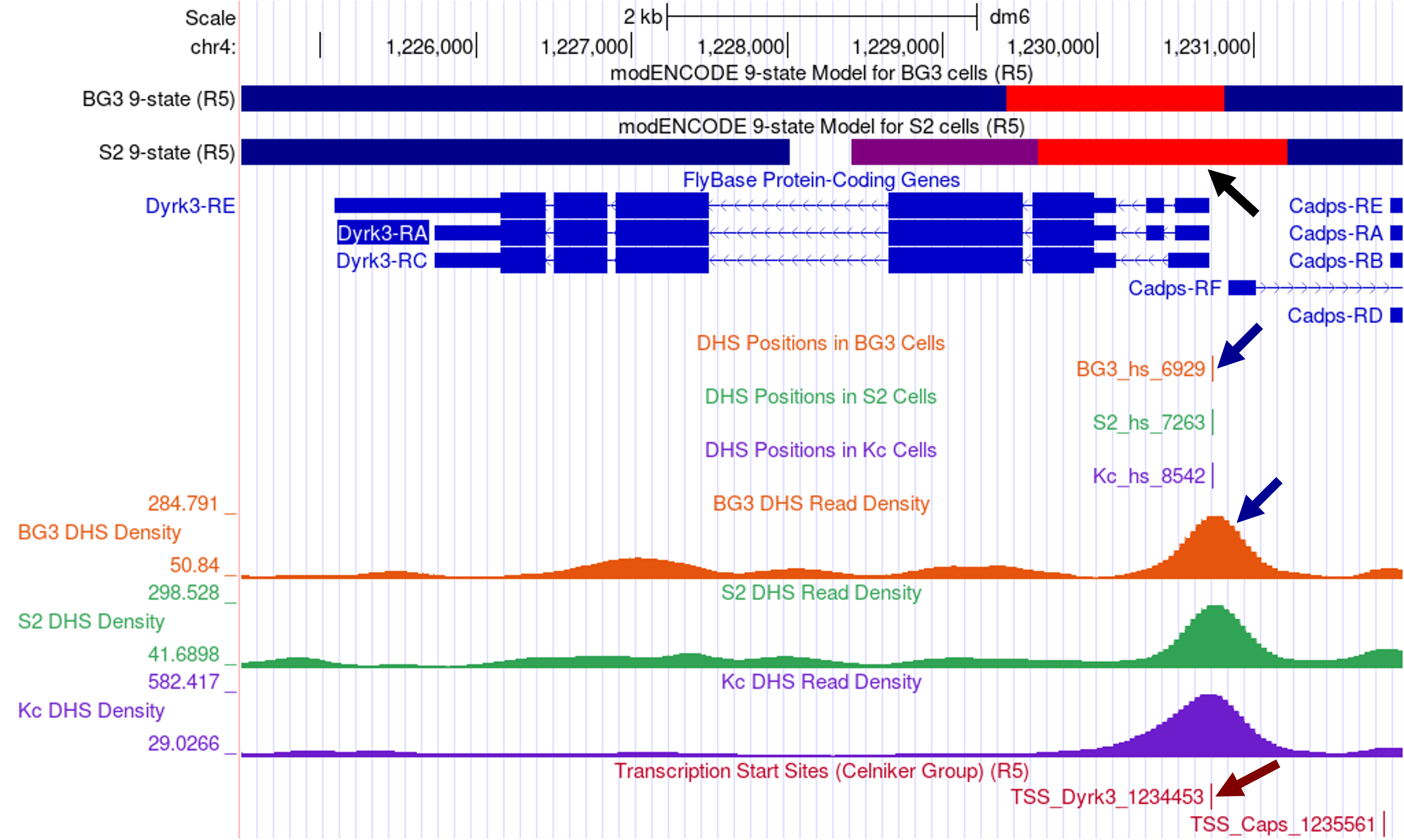 figure4