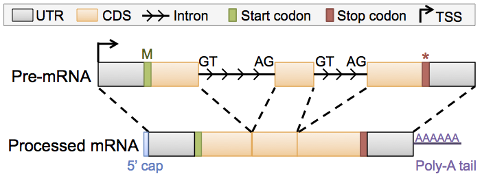 figure26