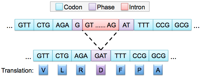 figure30