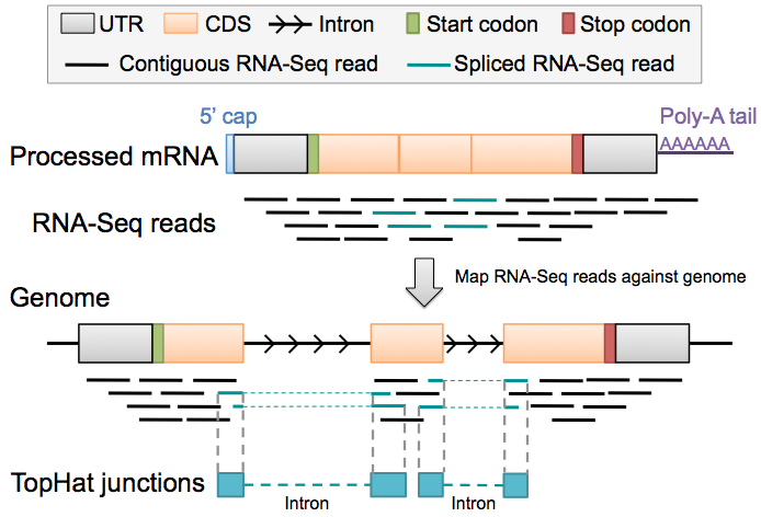 figure31