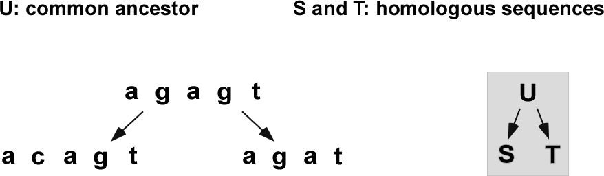 figure1