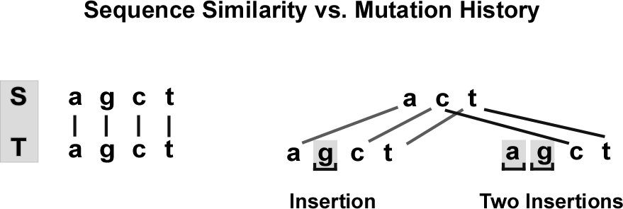 figure5