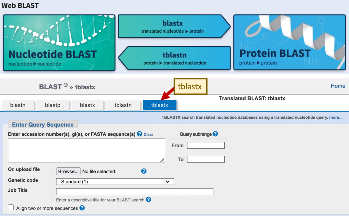 An Introduction to NCBI BLAST