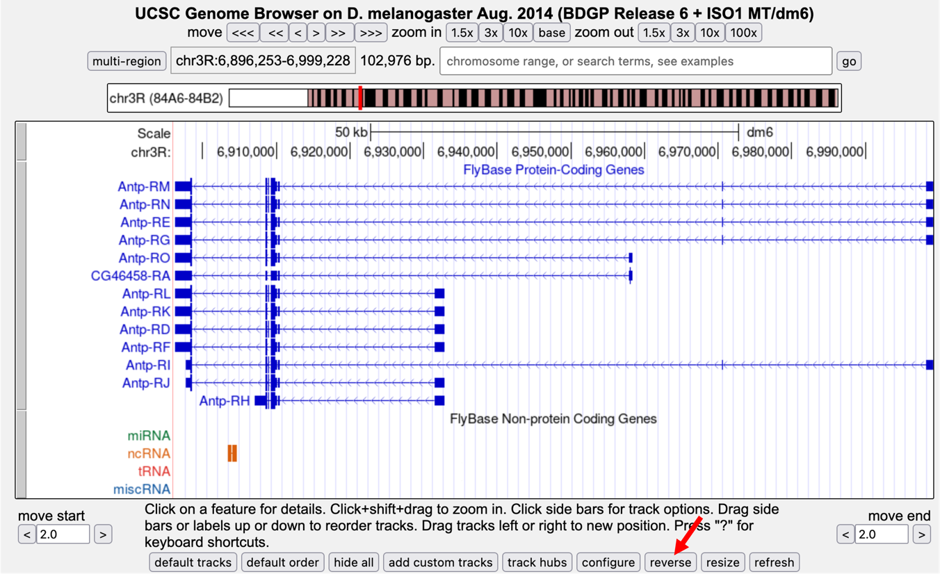 figure4