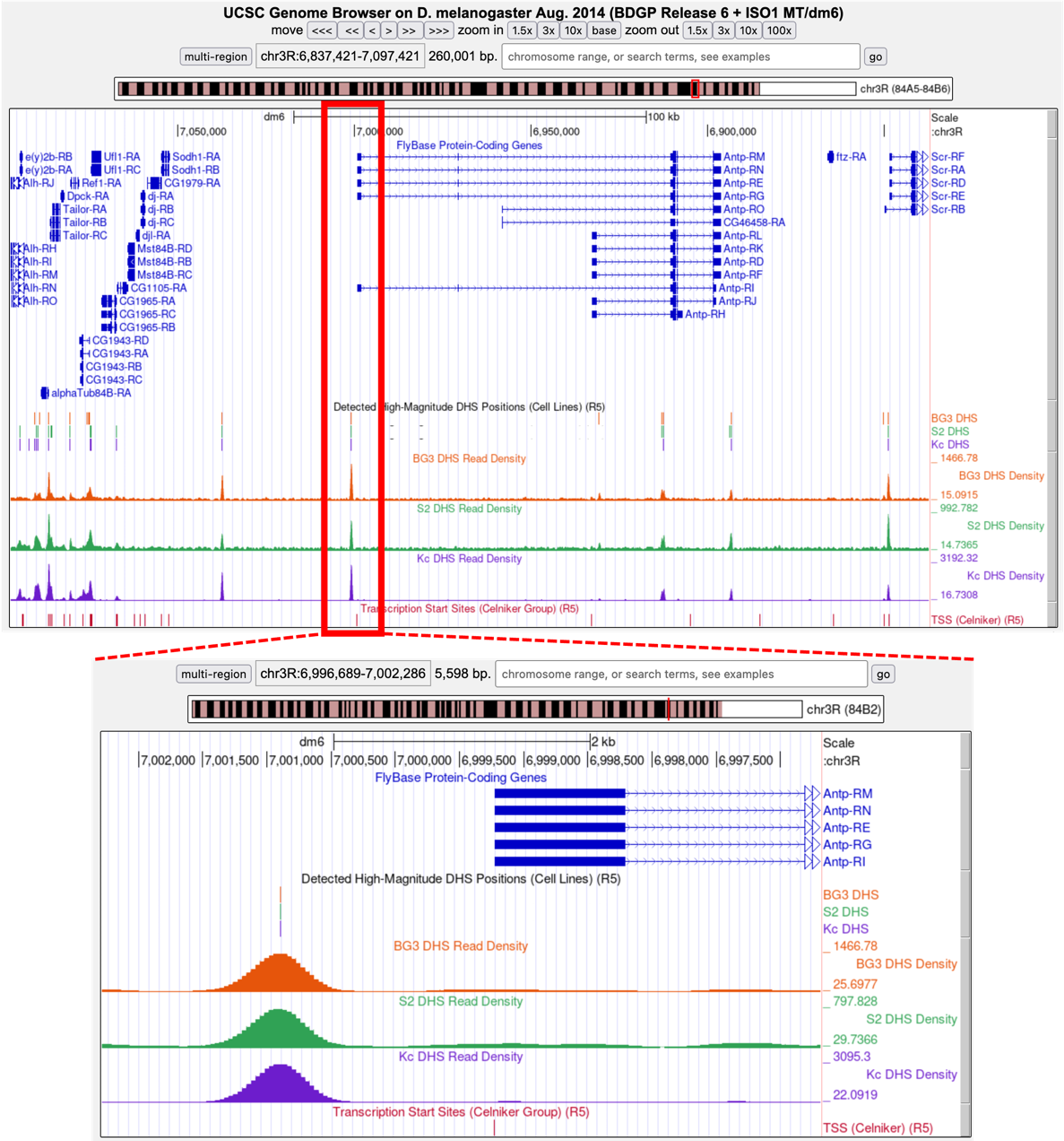 figure6