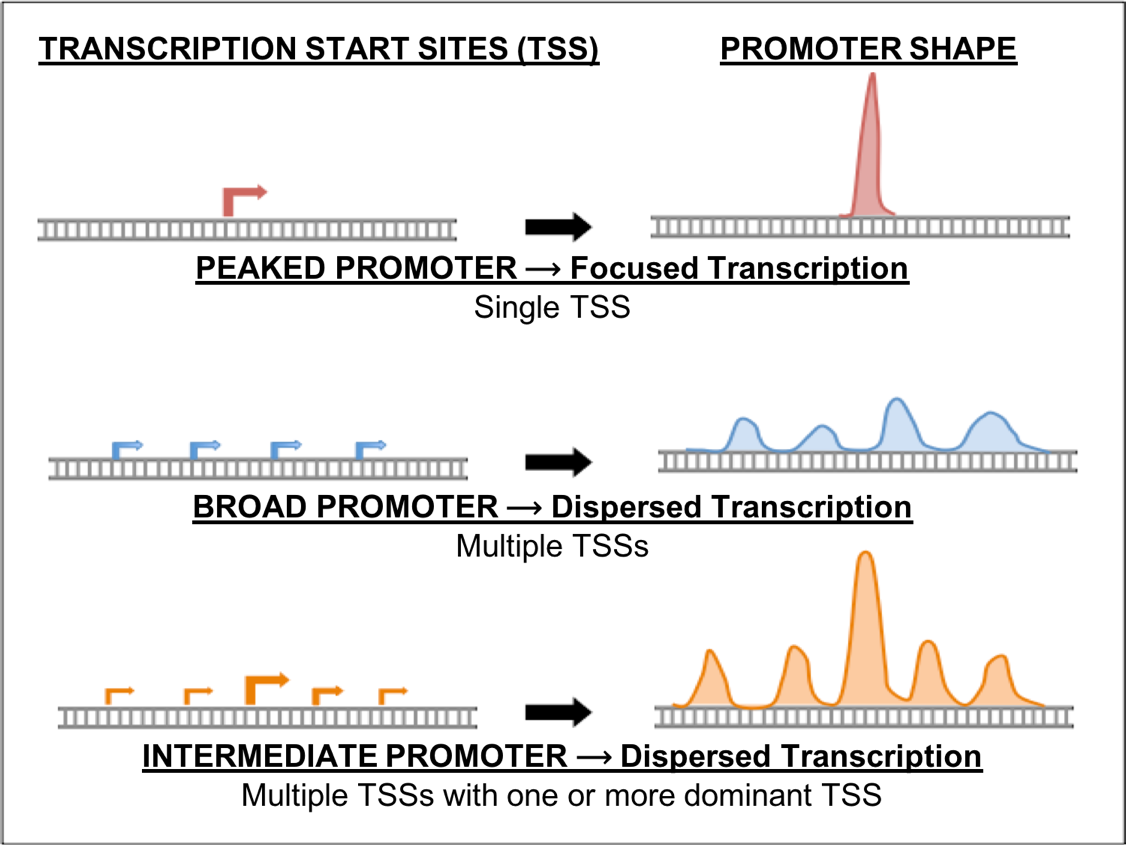 figure1