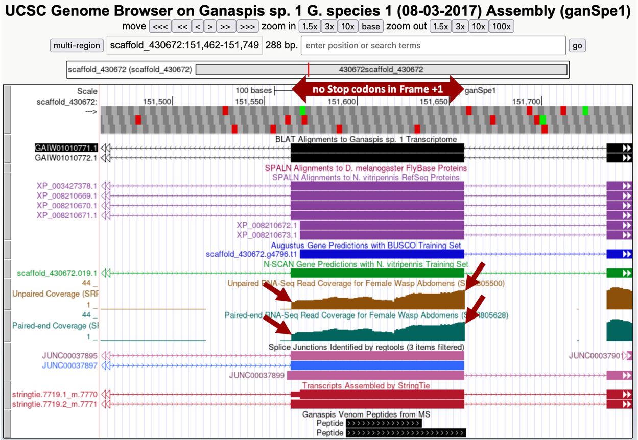 figure17