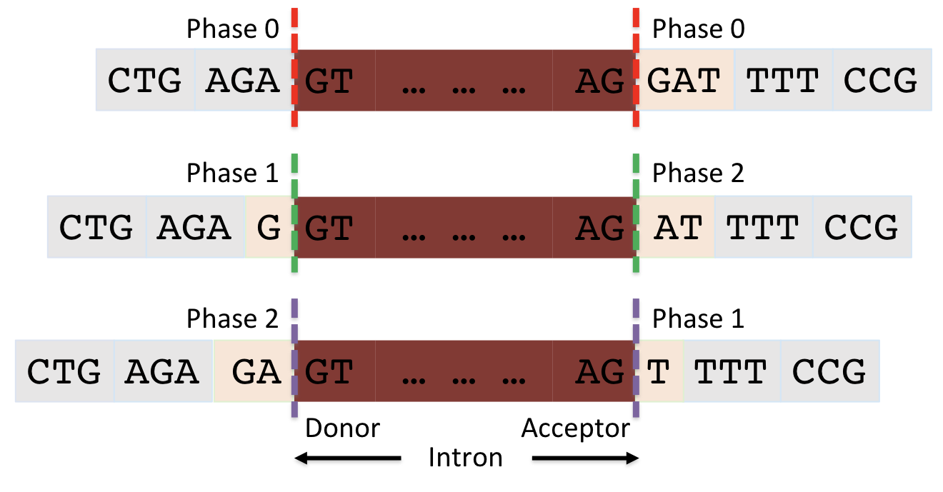 figure19