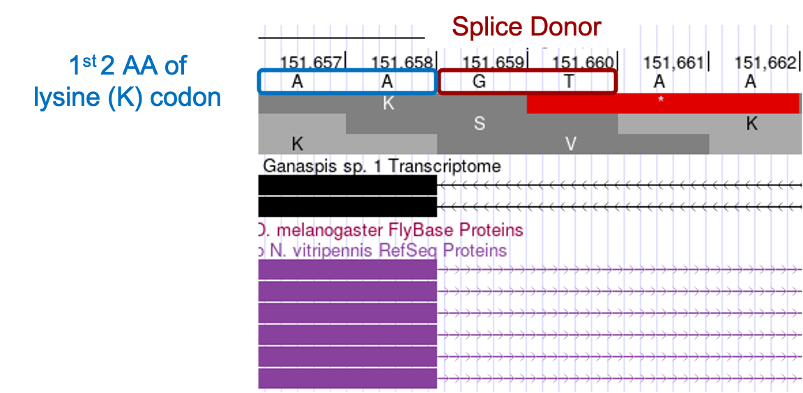 figure20