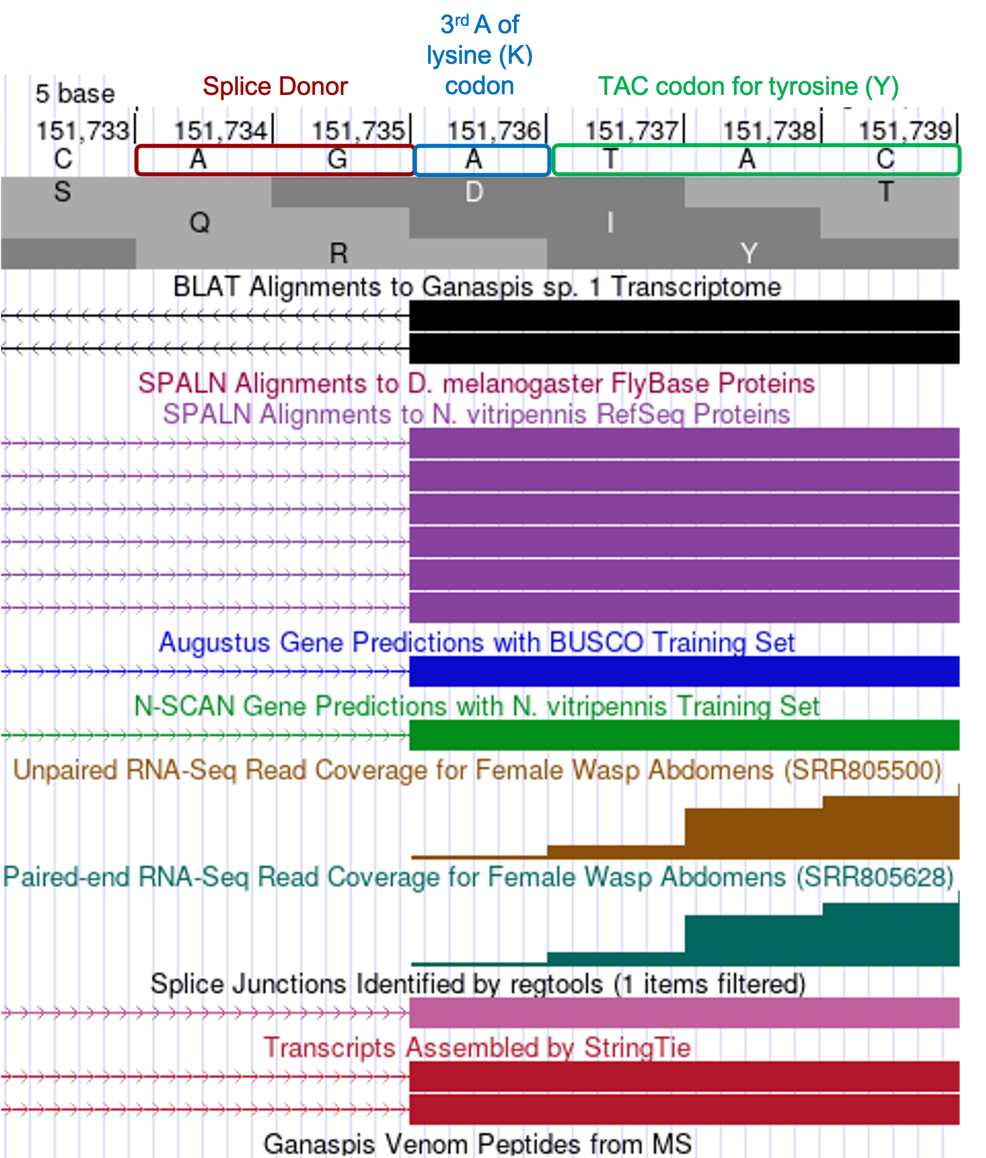 figure21