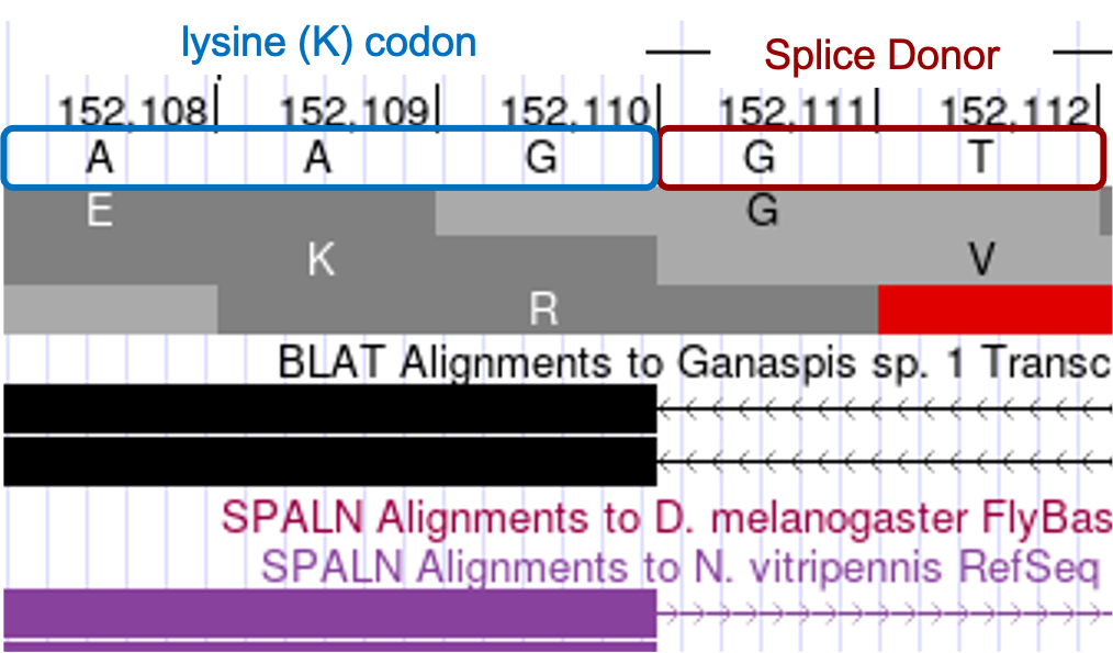 figure24