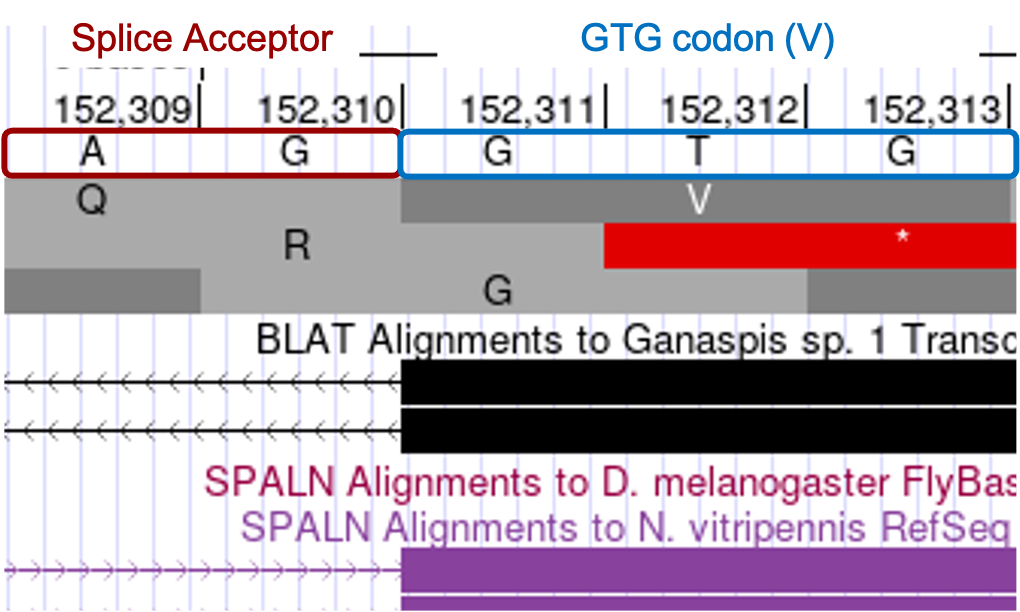 figure25