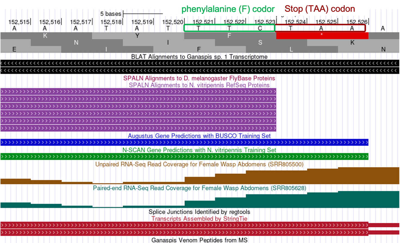 figure26