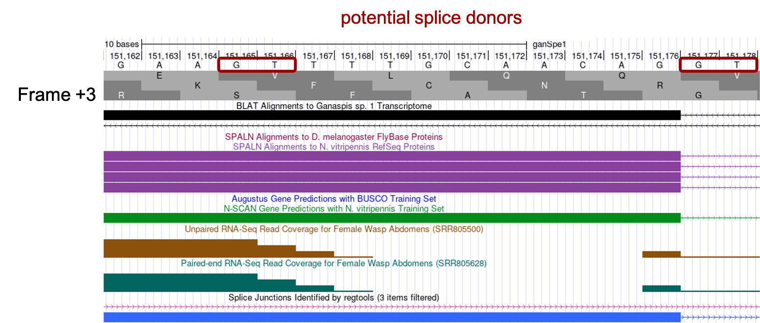 figure29