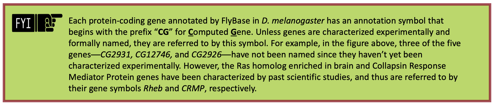 Each protein-coding gene annotated by FlyBase in D. melanogaster has an annotation symbol that begins with the prefix "CG" for Computed Gene. Unless genes are characterized experimentally and formally named