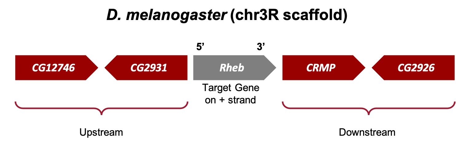 figure11