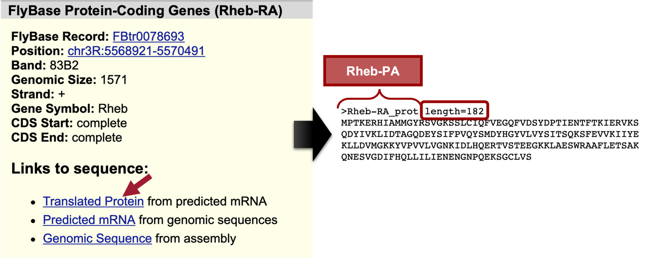 figure14