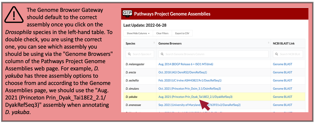 The Genome Browser Gateway should default to the correct assembly once you click on the Drosophila species in the left-hand table. To double check you are using the correct one