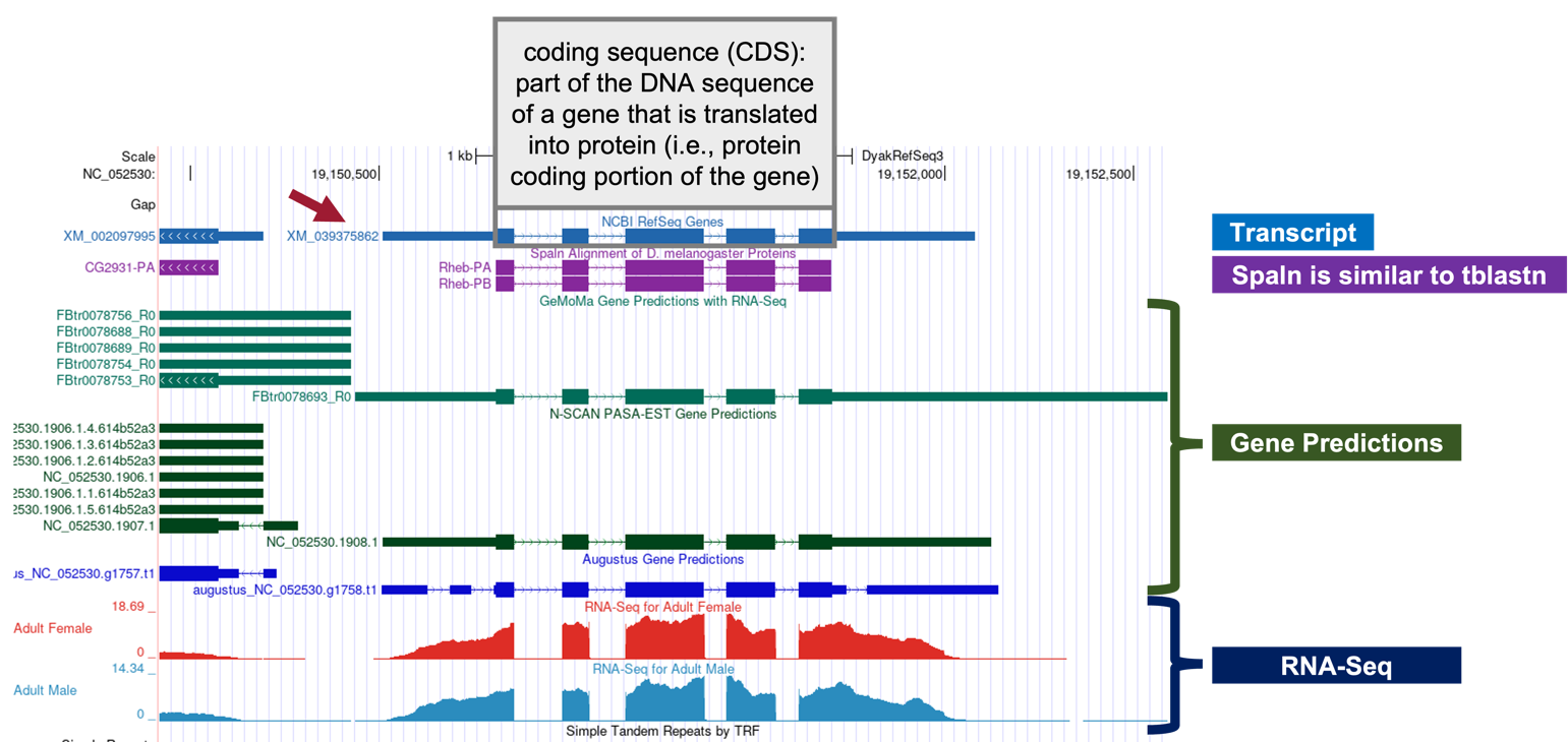 figure29