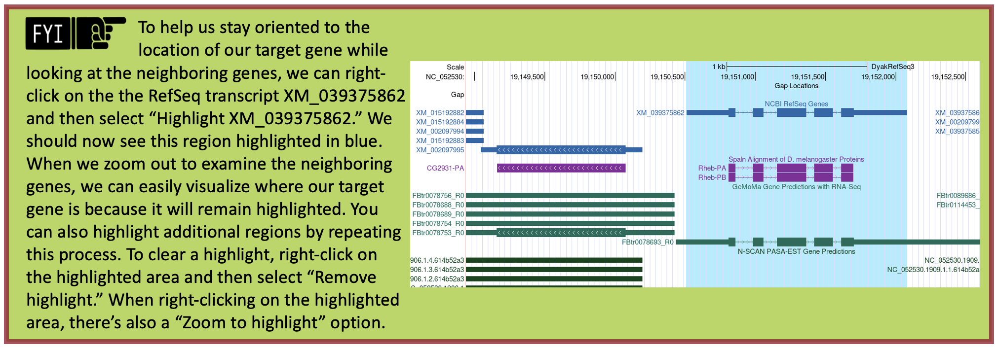 To help us stay oriented to the location of our target gene while looking at the neighboring genes