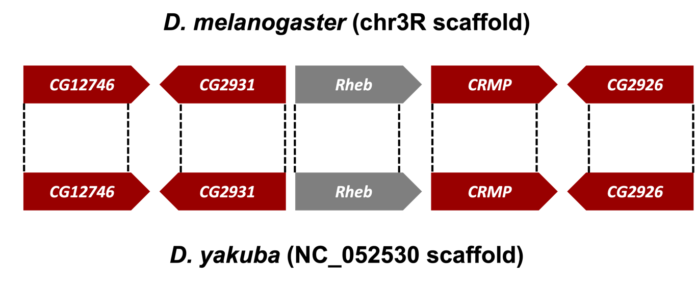 figure41