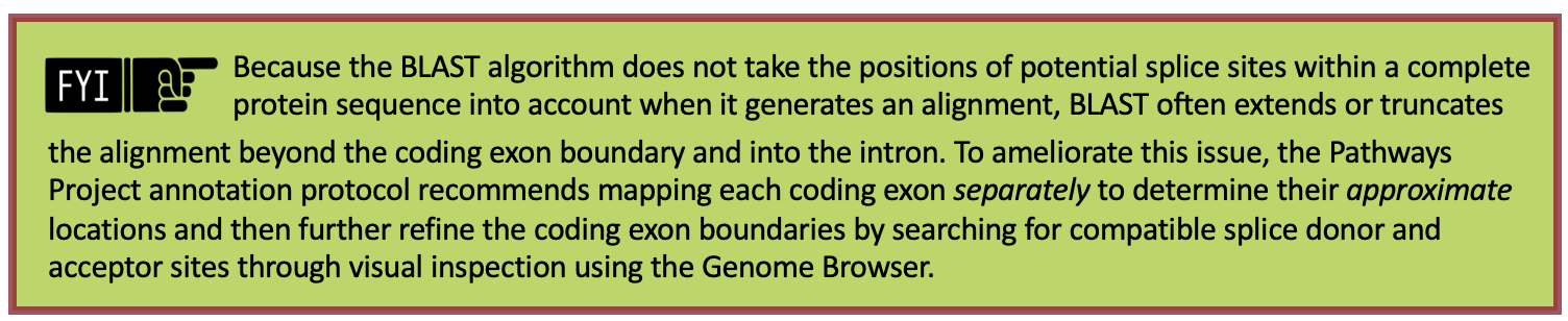 Because the BLAST algorithm does not take the positions of potential splice sites within a complete protein sequence into account when it generates an alignment