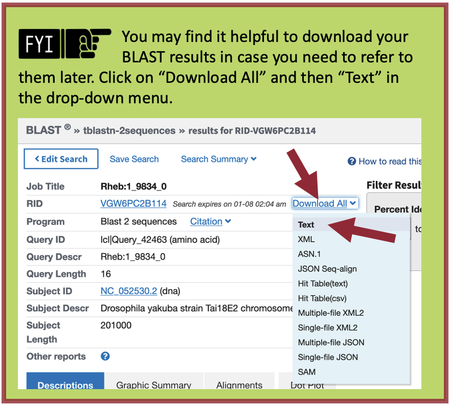 You may find it helpful to download your BLAST results in case you need to refer to them later. Click on "Download All" and then "Text" in the drop-down menu.