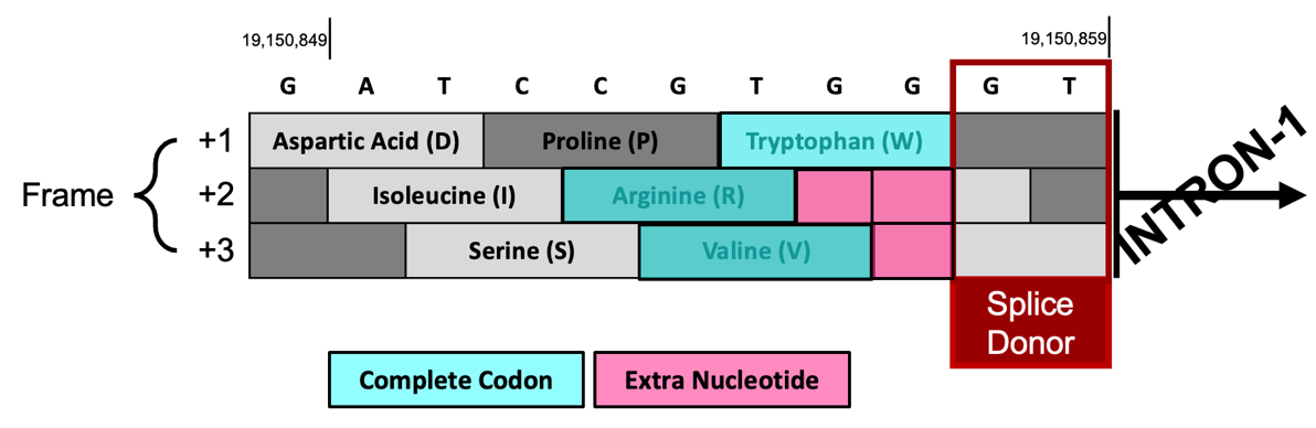 figure62