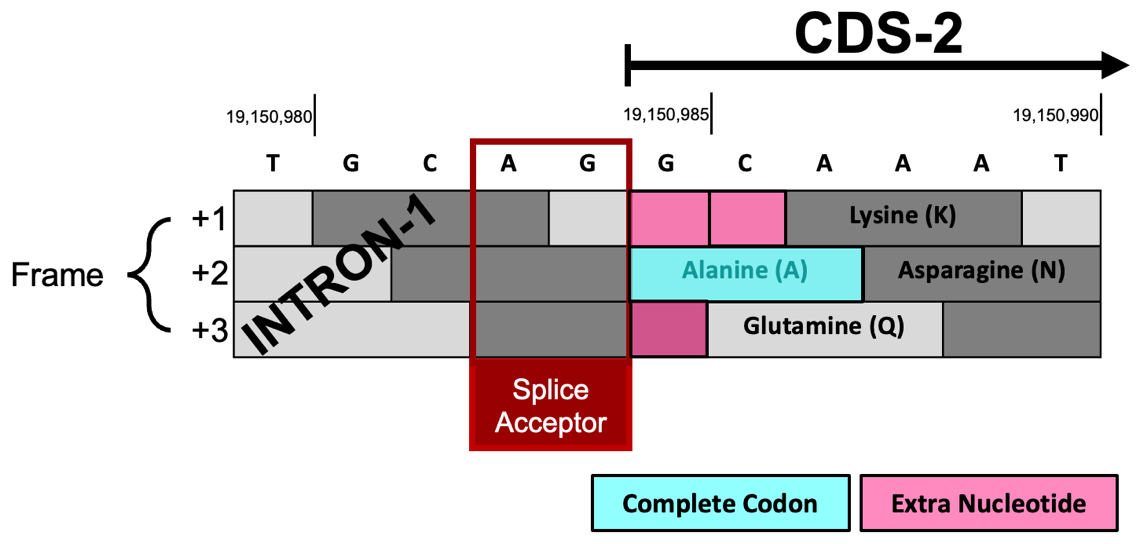 figure64