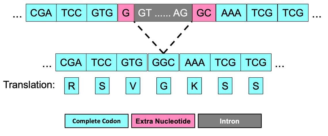 figure65