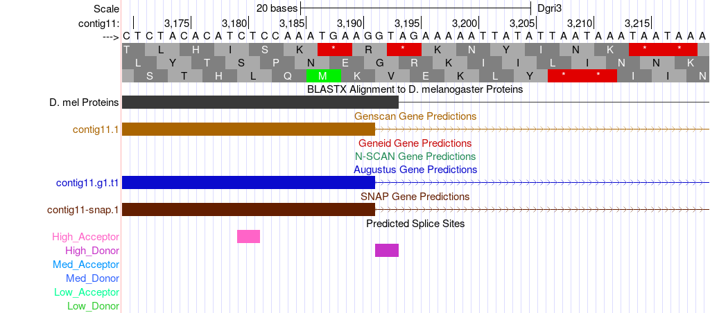 figure6