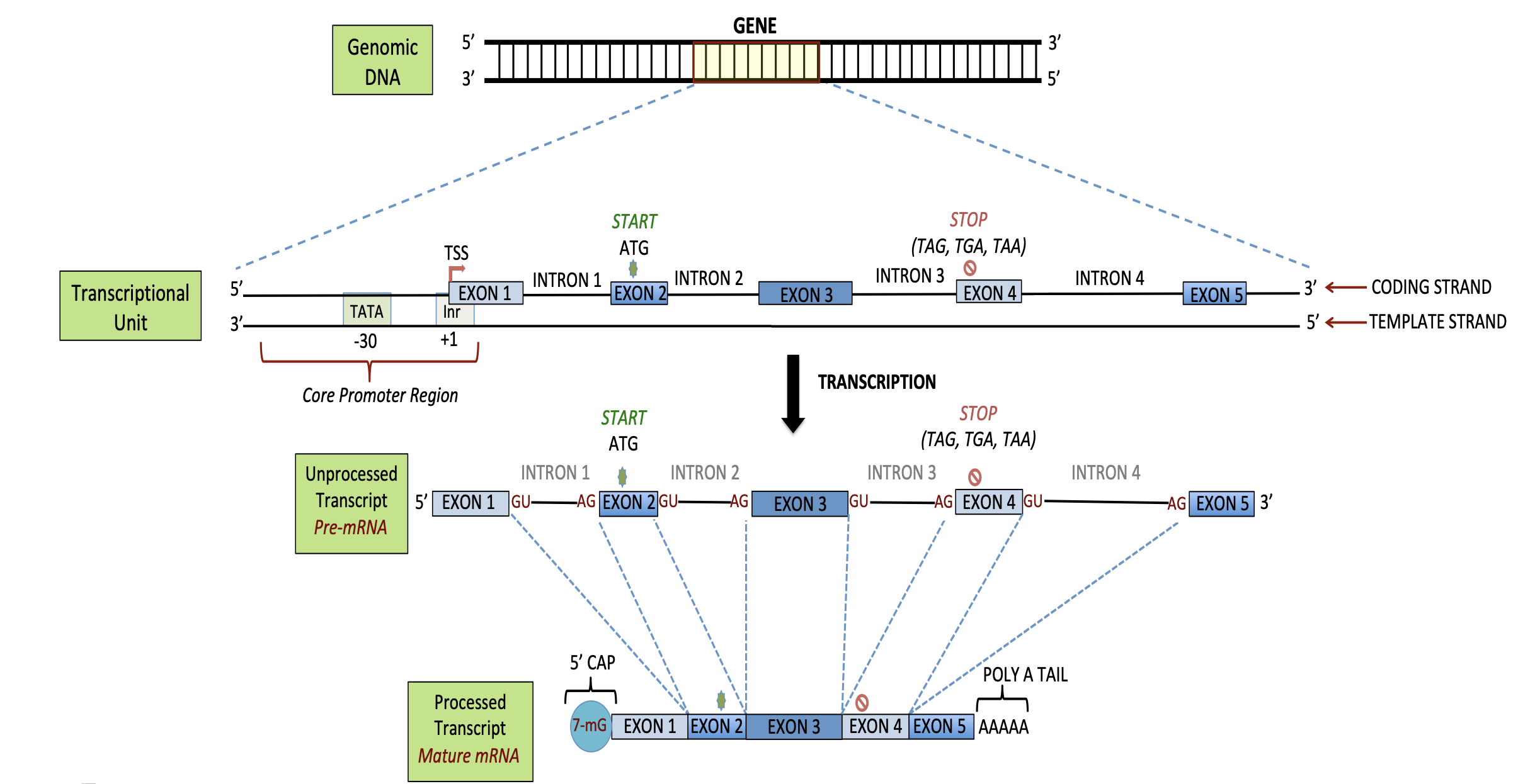 figure2