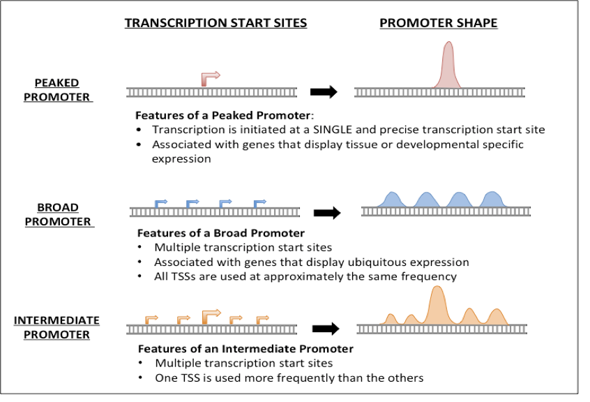 figure3