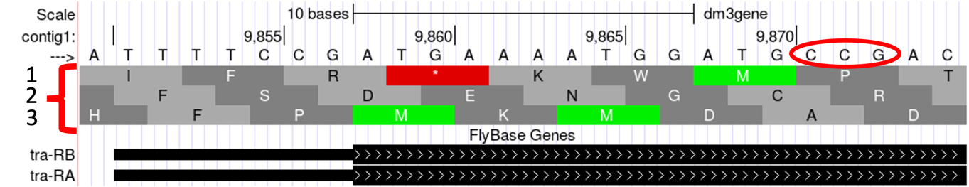 figure12