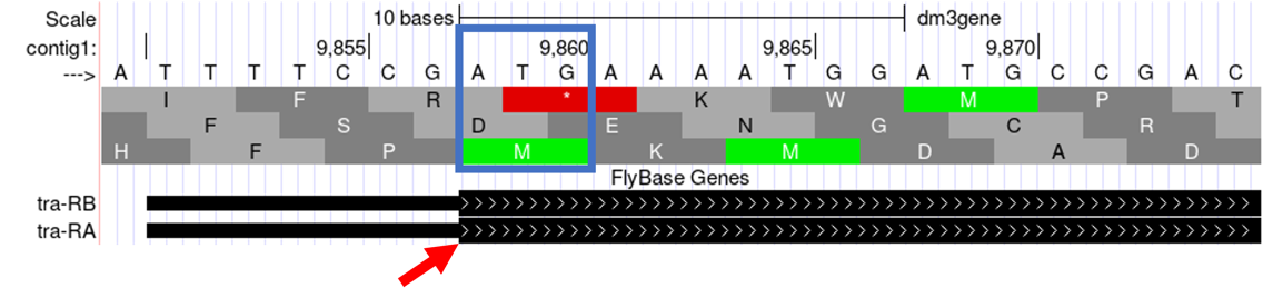 figure13