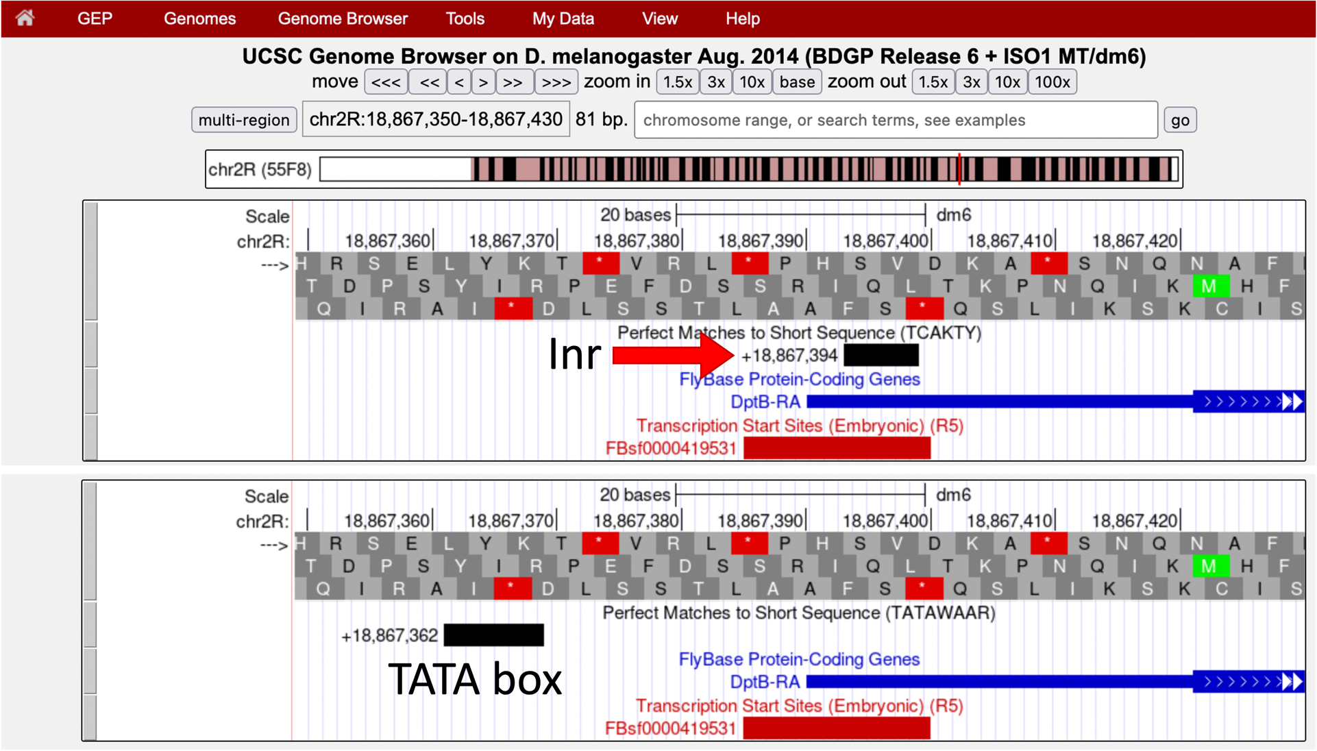 figure11