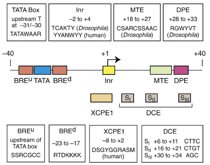 figure6