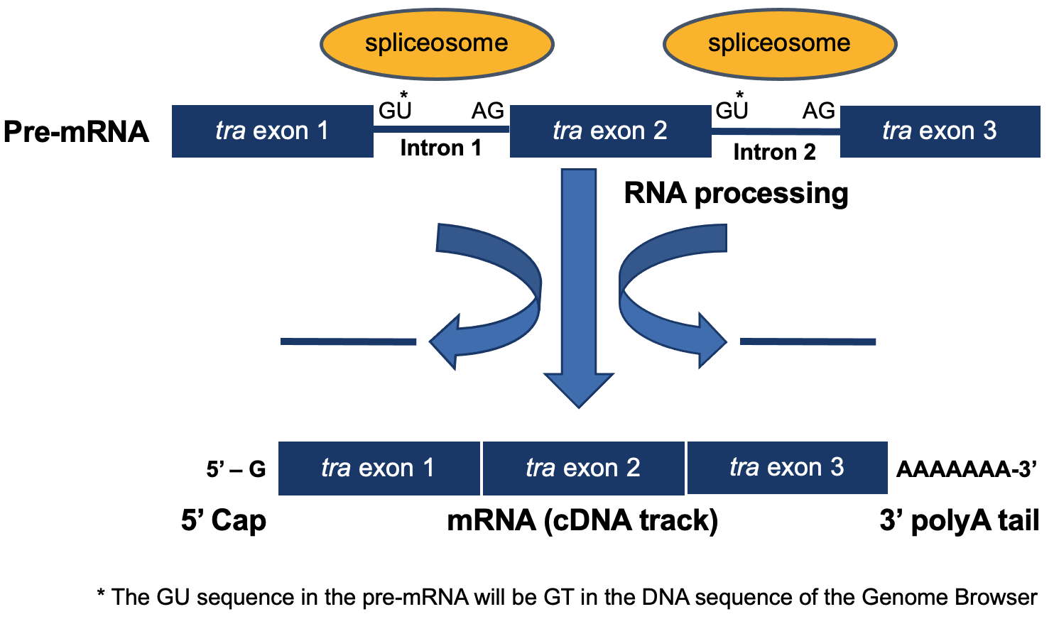 figure1