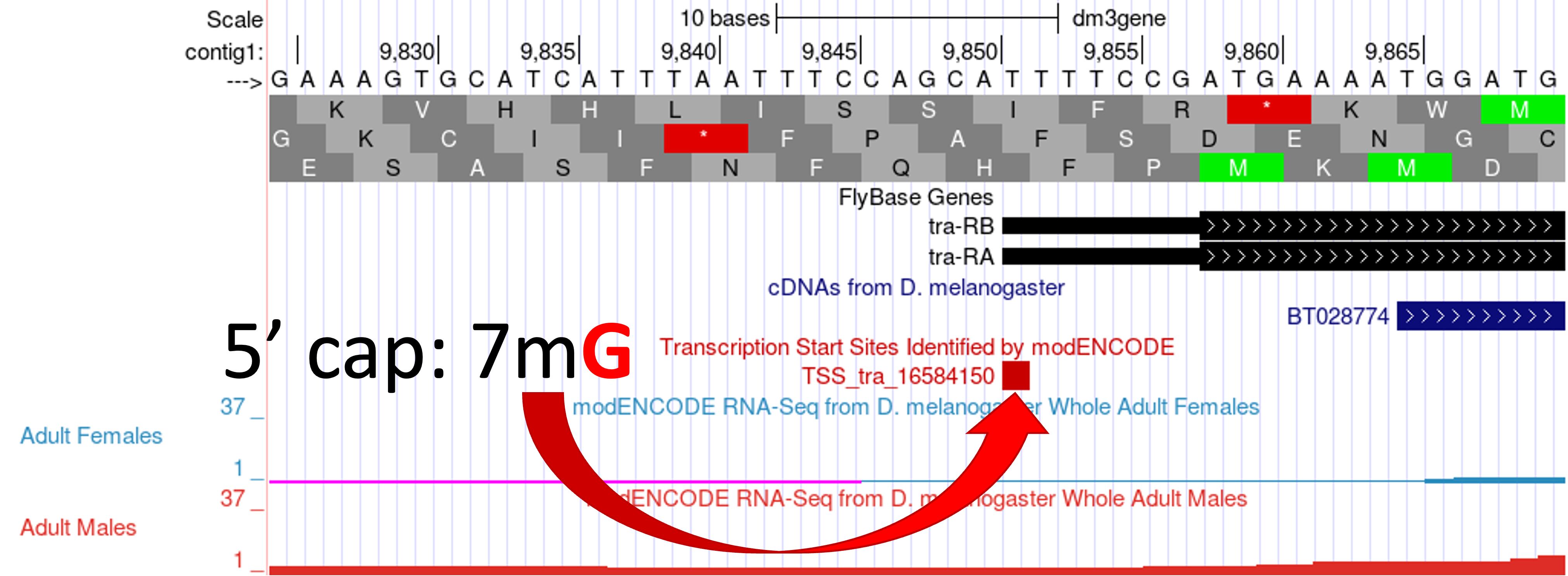 figure3