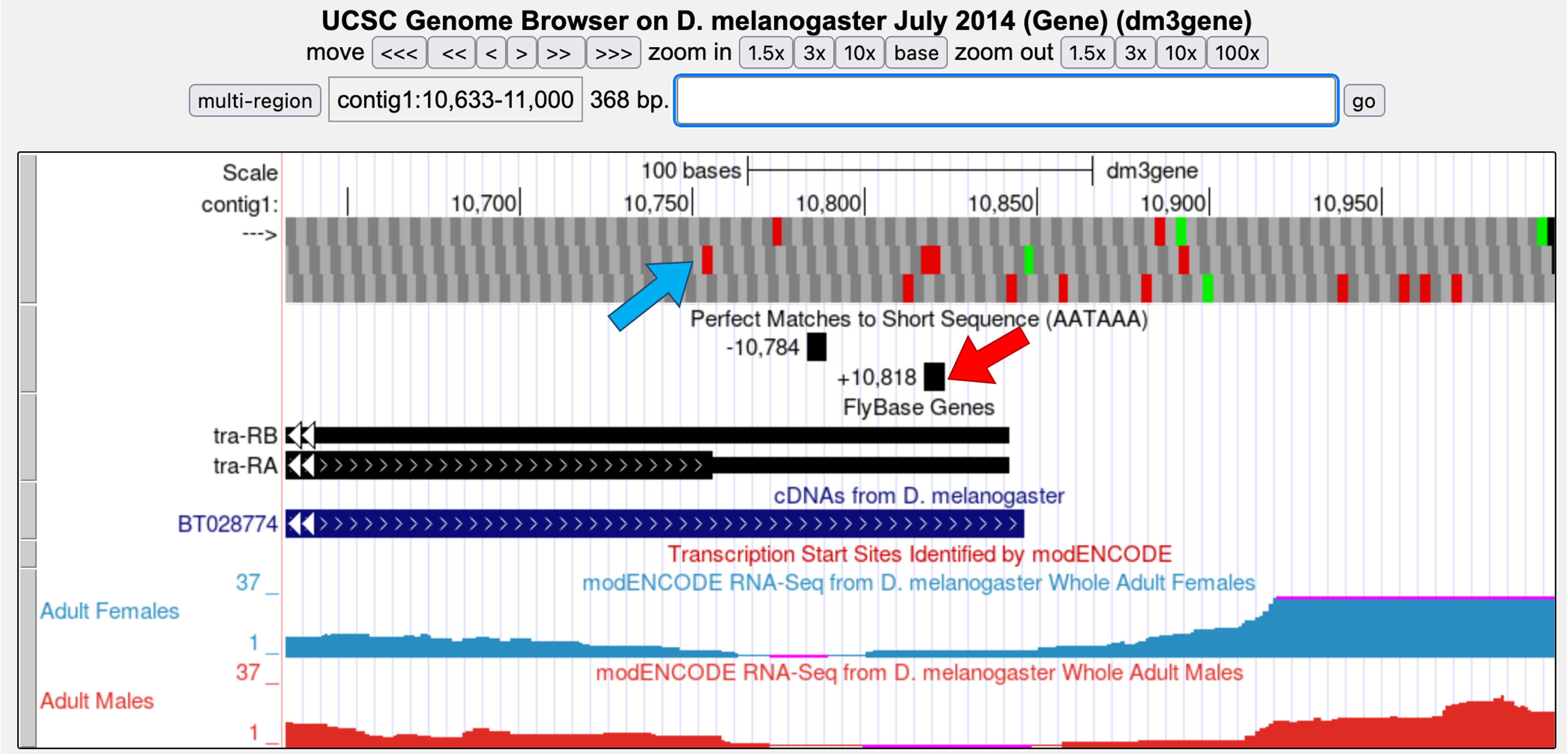 figure4