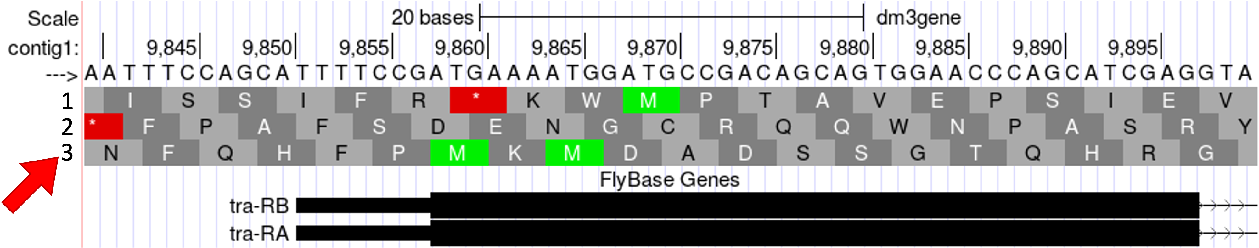 figure2