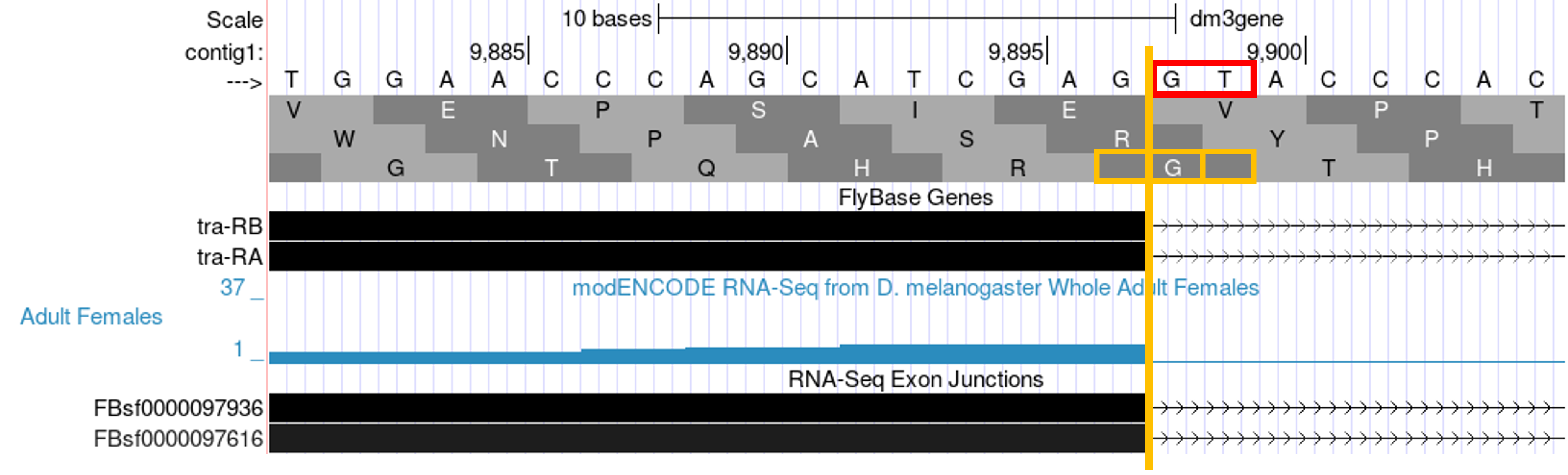 figure5