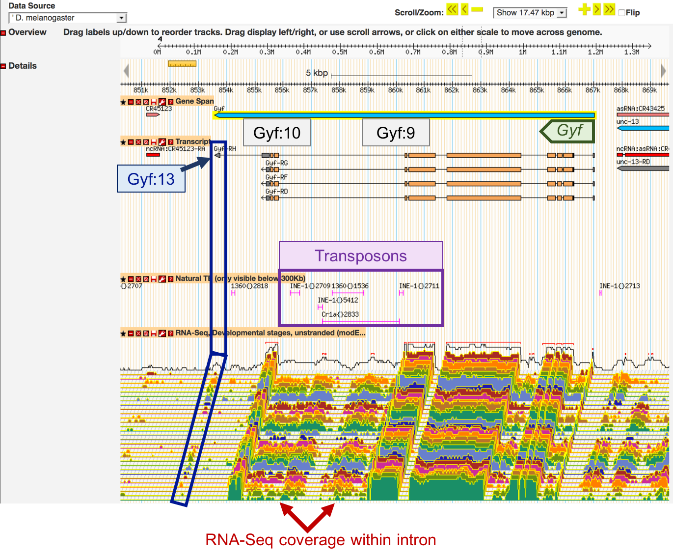 figure6